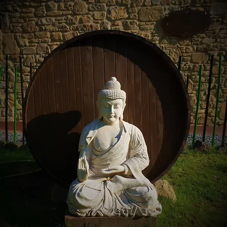 酒店 马斯普拉特乡村spa酒店 3*